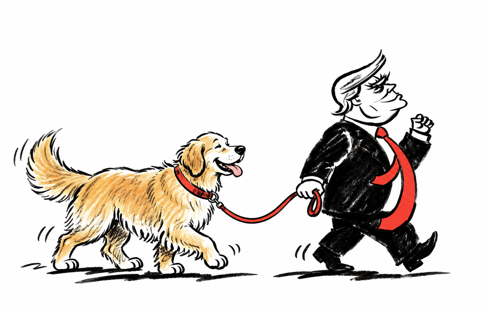 Illustration of Donald Trump walking a golden retriever on a red leash